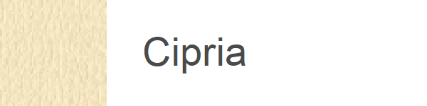Ecopiele Cipria