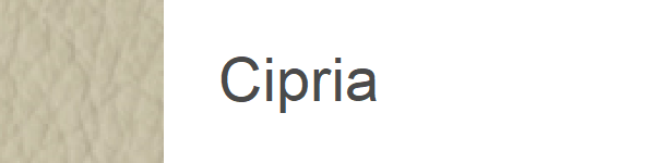 JP34 Cipria
