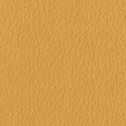 EB17 Giallo